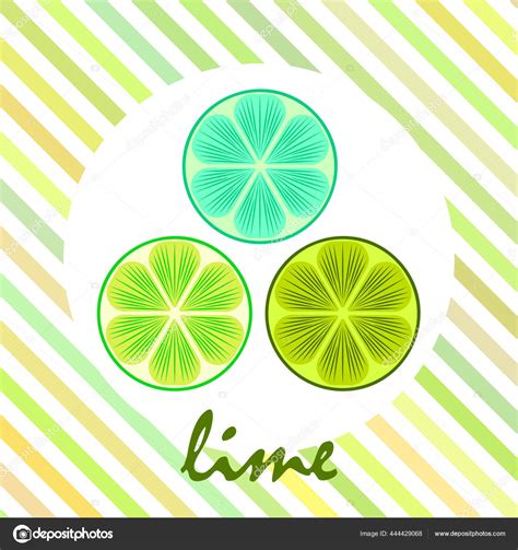 Vector Illustration Lime Fruit Background Stock Vector by ©natali7ekim.gmail.com 444429068