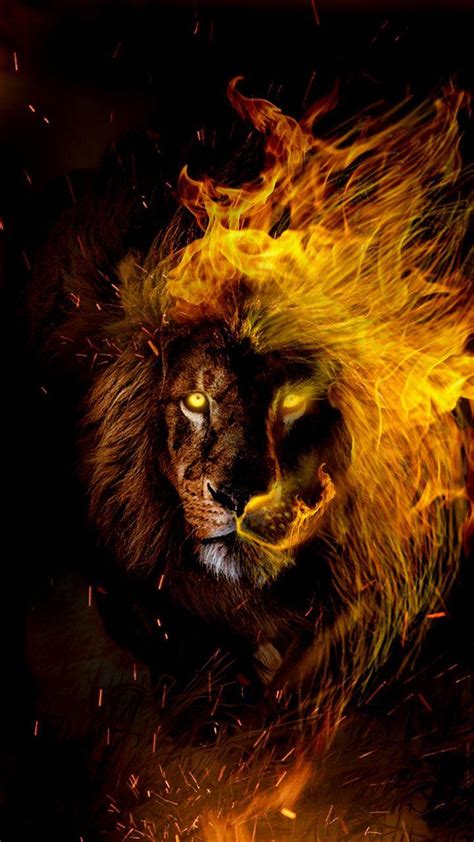 Fire Lion Wallpaper Hd Awesome lion wallpaper for desktop table and mobile