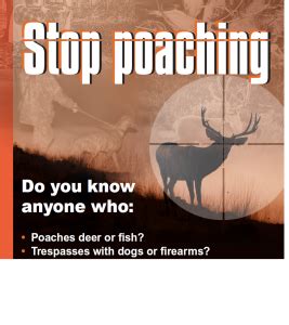 Stop Poaching campaign launches in Devon & Cornwall | National Wildlife Crime Unit | NWCU