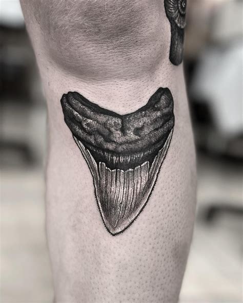 Lucy Anne — Sharktooth tattoo