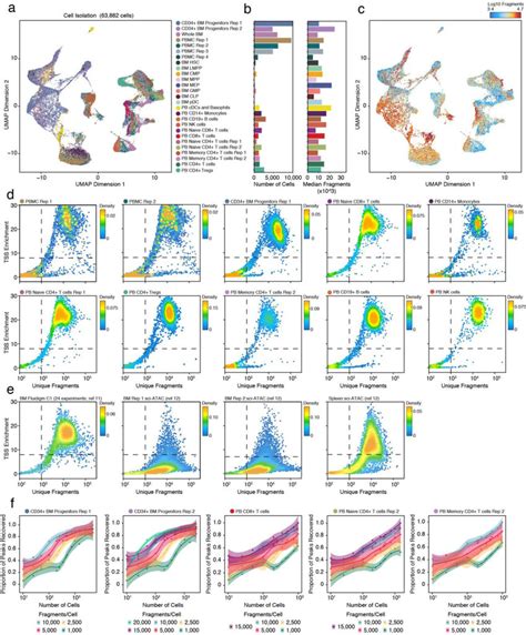 Sample descriptions and quality control of scATAC-seq hematopoiesis ...