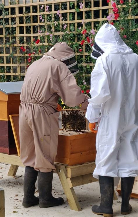 Specialist Group adds Bee Farming to Sustainability Actions ...