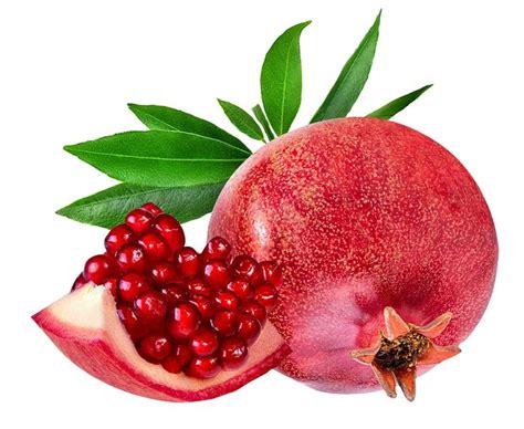 Parfianka Pomegranate Tree | Small fruit trees, Fruit trees for sale, Fruit trees