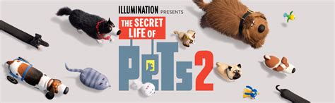 The Secret Life of Pets 2 - DVD + Digital (Kevin Hart, Harrison Ford ...