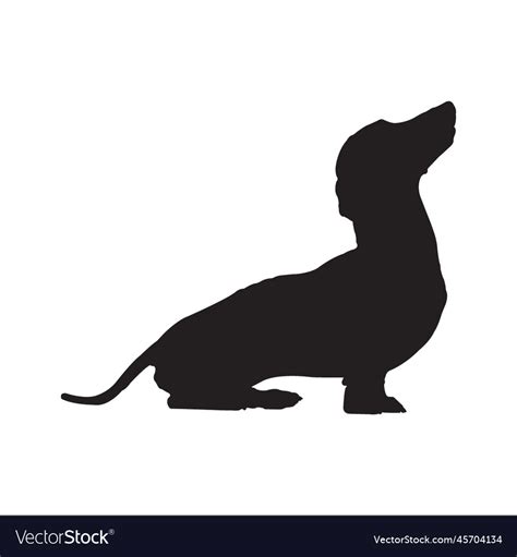 Dachshund dog silhouette Royalty Free Vector Image