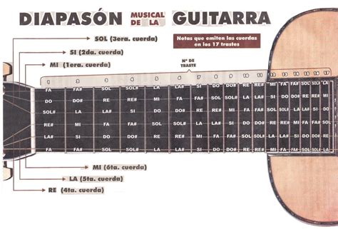 MÚSICA Y PARTITURAS JOSECOR: LAS NOTAS MUSICALES EN EL DIAPASÓN DE LA GUITARRA