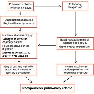 (PDF) [Review] Reexpansion pulmonary edema