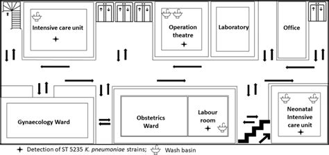 Tertiary Hospital Laboratory Floor Plan | Viewfloor.co