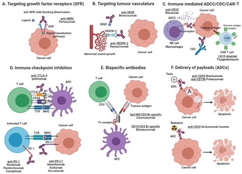 Mechanisms of action of monoclonal antibody-based products. (A ...