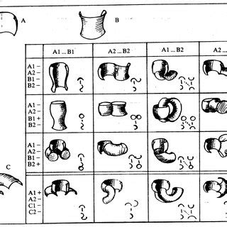 Partial set of geons, distinguished by various nonaccidental ...