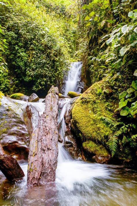 Amazonian Waterfall in the Andes. Banos. Ecuador Stock Photo - Image of ...