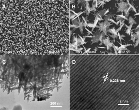 Electrocatalysis and the Production of Nanoparticles | IntechOpen