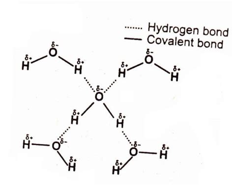 Hydrogen Bonding | Chemistry Skills