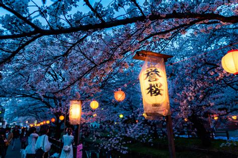Ultimate Guide to the Cherry Blossom Festival in Japan [2020]