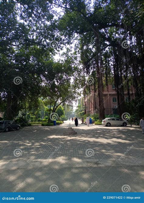 Lahore College for Women University Stock Photo - Image of women, lahore: 229071422