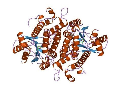 Thymidine kinase from herpesvirus - Alchetron, the free social encyclopedia