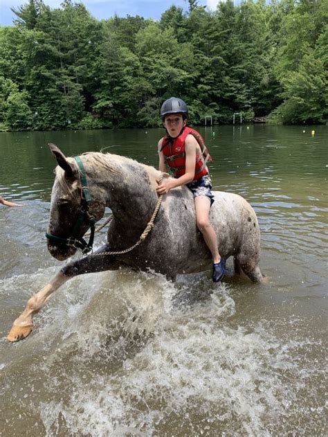 Horse Swim