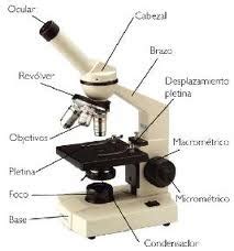 Microscopio: Partes del microscopio