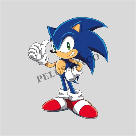 Sonic Svg, Sonic Cricut, Sonic the Hedgehog, Cartoon Svg, Sonic Vector, Anime Svg,animal Svg ...