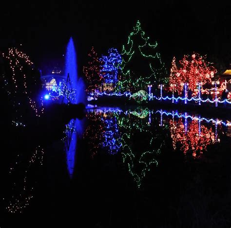 vivian - in stitches: Christmas Lights, Van Dusen Gardens