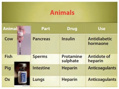 Sources of Drugs - Administration of Medicine in Nursing