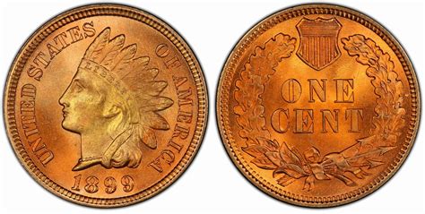 1899 Indian Head Penny Value (Rare Errors & No Mint Marks)