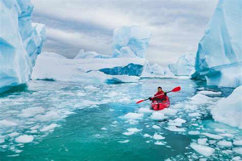 Tourism Adds to Climate Change's Damage of Antarctica | FlaglerLive