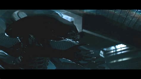 xenomorph scenes alien 1979 - YouTube