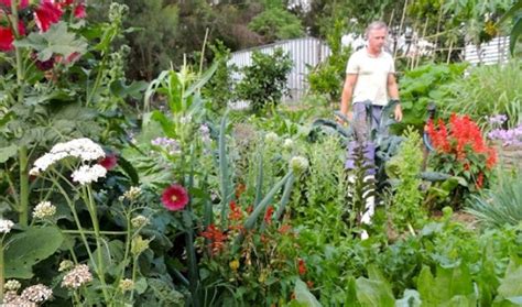 150 Plants From My Permaculture Garden - Our Permaculture Life