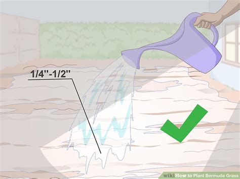 3 Ways to Plant Bermuda Grass - wikiHow