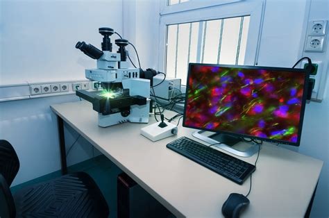 Confocal Fluorescence Microscopy