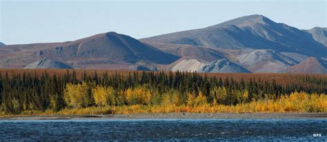 Noatak Wild & Scenic River | National Rivers