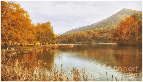 Peaks of Otter II Photograph by Ola Allen - Fine Art America