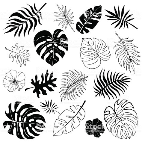Tropical Leaf Outline Svg - Tropical Leaf Icons | Bodegawasuon