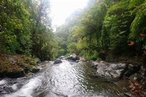 Why Adventure Travelers Are Obsessed With This Tiny Patch of Jungle; Jen Rose Smith; Fodors ...