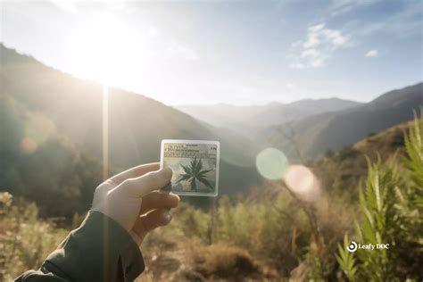 Medical Marijuana Card: Cross-State Use and Traveling Guidelines ...