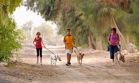 Qatar Animal Welfare Society | Time Out Doha