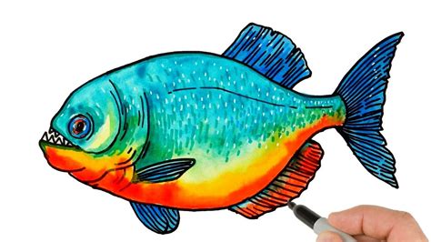 Piranha Drawing