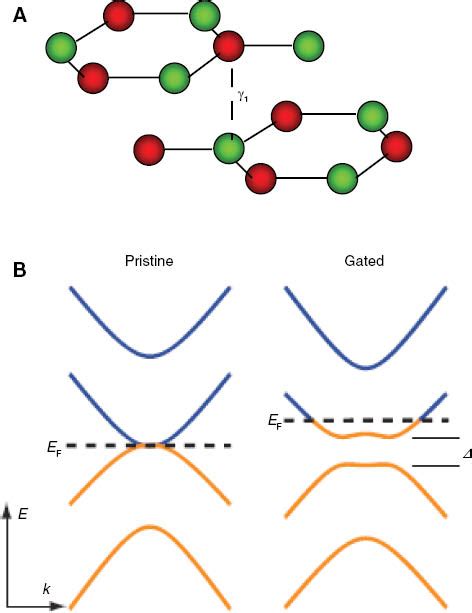 Bilayer graphene: physics and application outlook in photonics