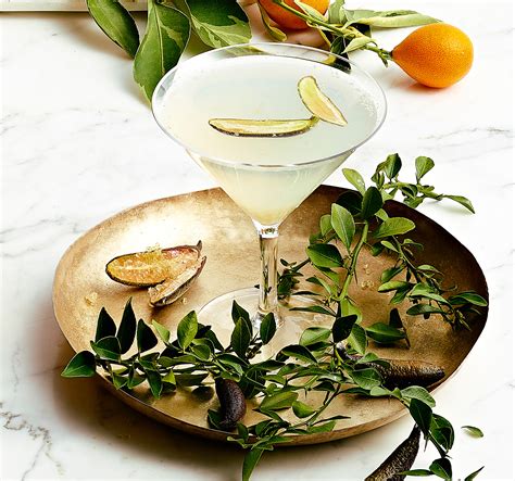 Finger Lime Vodka Gimlets Recipe – Sunset Magazine