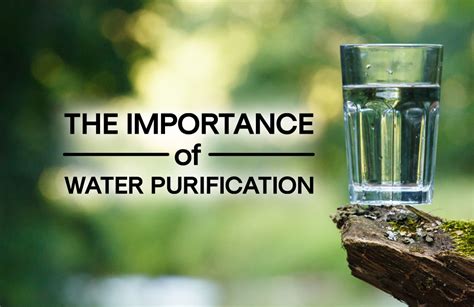 Water Purification - Why Is It Important? | Alive Water Blog