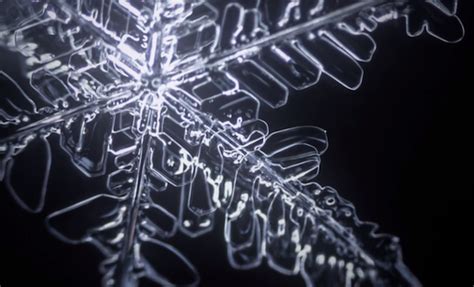 Captivating Microscopic Time-Lapse Video Captures the Formation of Snowflakes