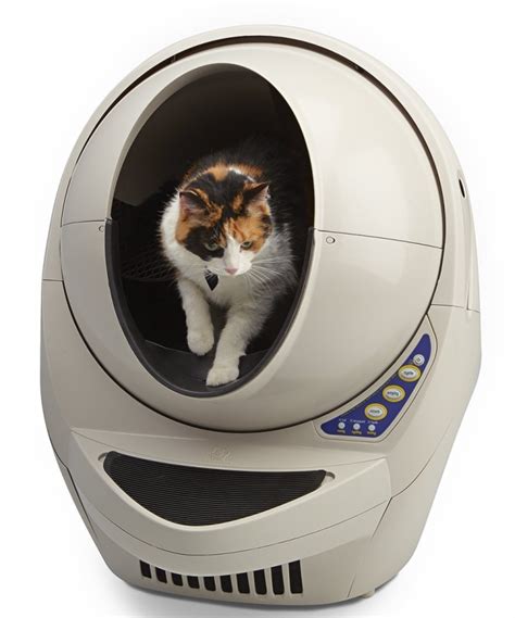 Automatic Self-Cleaning Litter Box