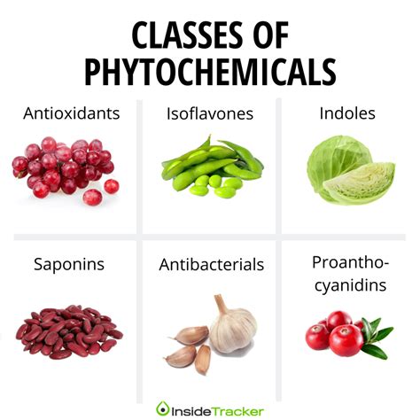 Phytochemicals: Why You Should Eat the Rainbow