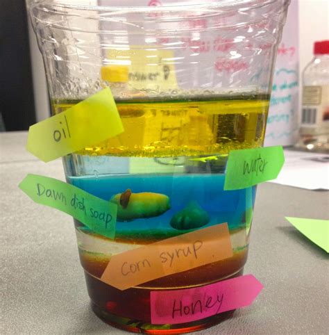 Density Experiment With Different Liquids