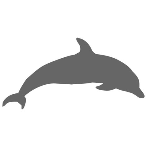 Bottlenose Dolphin Stencil | Craftcuts.com