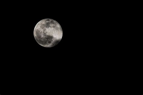 Full Moon In The Sky · Free Stock Photo - vrogue.co