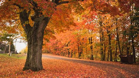 5 Tips for Finding Beautiful Fall Foliage in Massachusetts