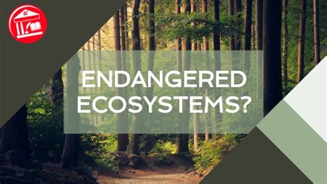 Topic 3 - Endangered Ecosystems?