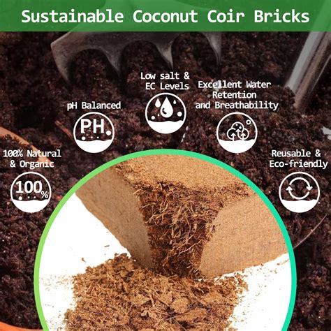 Premium Organic Coco Coir Brick - Plant and Pot Co.